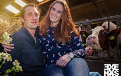 Loveshoot tussen de koeien